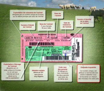 Qualit Et Tra Abilit De La Viande Nature Et R Gions